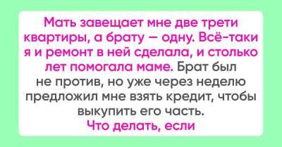 Ситуация с хитрым братом, что требует денег за свою долю квартиры - skuke.net