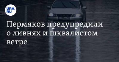 Пермяков предупредили о ливнях и шквалистом ветре - ura.news - Пермский край