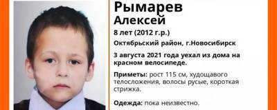В Новосибирске ищут восьмилетнего мальчика на красном велосипеде - runews24.ru - Новосибирск