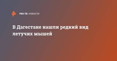 В Дагестане нашли редкий вид летучих мышей - ren.tv - респ. Дагестан - Томск