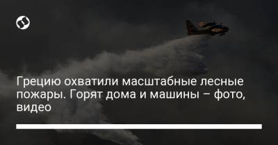 Грецию охватили масштабные лесные пожары. Горят дома и машины – фото, видео - liga.net - Украина - Греция