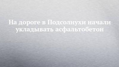 Александр Бастрыкин - На дороге в Подсолнухи начали укладывать асфальтобетон - chelny-izvest.ru - Россия - Набережные Челны - район Тукаевский