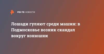 Лошади гуляют среди машин: в Подмосковье возник скандал вокруг конюшни - ren.tv - Московская обл. - Московская область