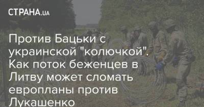 Против Бацьки с украинской "колючкой". Как поток беженцев в Литву может сломать европланы против Лукашенко - strana.ua - Украина - Белоруссия - Ирак - Польша - Литва - Вильнюс - Минск