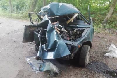 В Мичуринском районе легковушка врезалась в дерево: пострадал 17-летний водитель - tambov.mk.ru - район Мичуринский