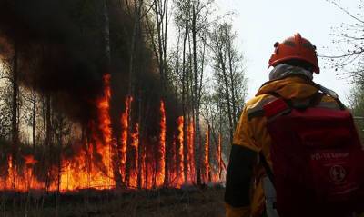 В Якутии в уголовном деле о масштабных лесных пожарах появился первый обвиняемый - og.ru - респ. Саха - район Томпонский