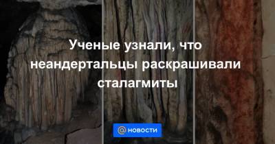 Ученые узнали, что неандертальцы раскрашивали сталагмиты - news.mail.ru - Испания