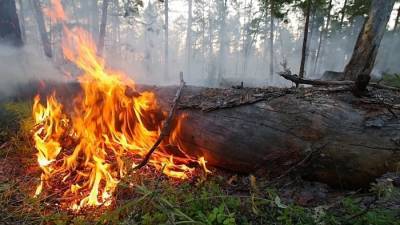 Крупные очаги природного пожара под Оренбургом потушены - МЧС - interfax-russia.ru - Россия - Оренбург