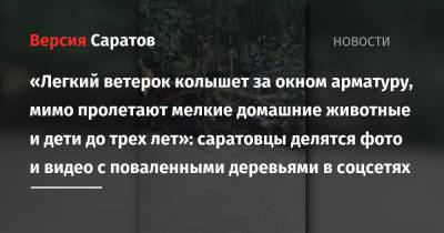 «Легкий ветерок колышет за окном арматуру, мимо пролетают мелкие домашние животные и дети до трех лет»: саратовцы делятся фото и видео с поваленными деревьями в соцсетях - nversia.ru