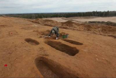 Впервые за 30 лет были проведены раскопки древнего ижорского могильника - online47.ru - Сосновый Бор