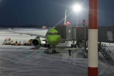Челябинскому аэропорту предписали до 13 августа снизить цену на услуги телетрапа - znak.com - Россия - Челябинск