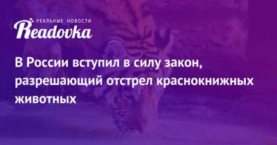 В России вступил в силу закон, разрешающий отстрел краснокнижных животных - readovka.news - Россия