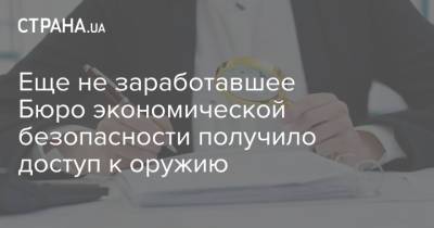 Еще не заработавшее Бюро экономической безопасности получило доступ к оружию - strana.ua - Украина