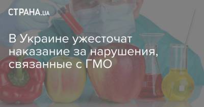 В Украине ужесточат наказание за нарушения, связанные с ГМО - strana.ua - Украина