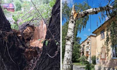 Ураганный повалил десятки деревья в Петрозаводске: в мэрии просят соблюдать меры безопасности - gubdaily.ru - Петрозаводск - республика Карелия