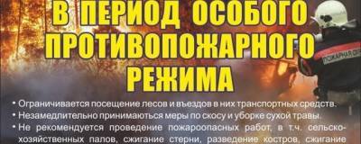 В Раменском округе действует особый противопожарный режим - runews24.ru - Московская обл. - городское поселение Раменский