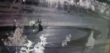 В Череповце полицейские нашли вандала, напавшего на Кошку - vologda-poisk.ru - Череповец