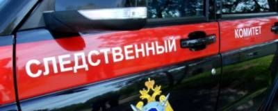 В НСО нашли мертвого младенца в колесе от трактора - runews24.ru - Россия - район Колыванский