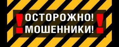 Жительница Ивановской области хотела подарить ребенку щенка, но попалась на удочку мошенников - runews24.ru - Ивановская обл. - район Комсомольский