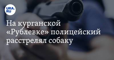 На курганской «Рублевке» полицейский расстрелял собаку - ura.news - с. Кетово
