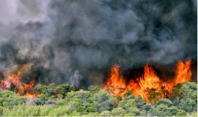 В Греции жуткие пожары уничтожили 200 домов - lenta.ua - Украина - респ. Саха - Греция
