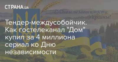 Владимир Зеленский - Тендер-междусобойчик. Как гостелеканал "Дом" купил за 4 миллиона сериал ко Дню независимости - strana.ua - Украина