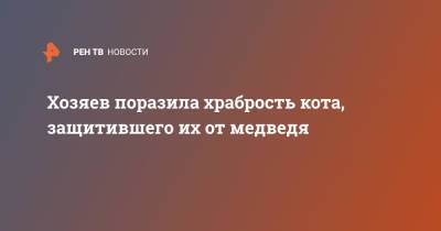 Сергей Тарасов - Хозяев поразила храбрость кота, защитившего их от медведя - ren.tv - респ. Саха