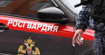 Полуголый мужчина с пистолетом выбежал навстречу росгвардейцам в Москве - moslenta.ru - Москва - Кировская обл.