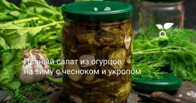 Пряный салат из огурцов на зиму с чесноком и укропом - skuke.net