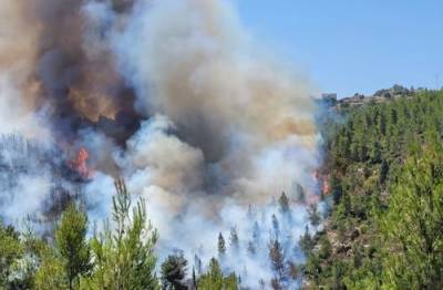 Никос Хардалиас - Природные пожары охватили Грецию - argumenti.ru - Афины - Греция - Экология