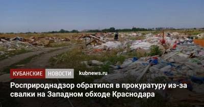 Росприроднадзор обратился в прокуратуру из-за свалки на Западном обходе Краснодара - kubnews.ru - Краснодарский край - Краснодар - Экология