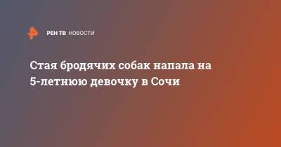 Стая бродячих собак напала на 5-летнюю девочку в Сочи - ren.tv - Сочи
