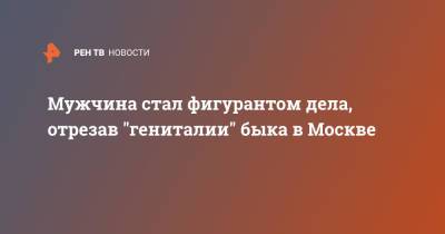 Мужчина стал фигурантом дела, отрезав "гениталии" быка в Москве - ren.tv - Москва - Зеленоград