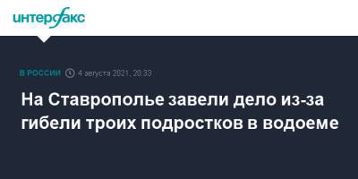 Игорь Иванов - На Ставрополье завели дело из-за гибели троих подростков в водоеме - interfax.ru - Москва - Россия - Ставрополье - Невинномысск