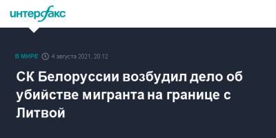 СК Белоруссии возбудил дело об убийстве мигранта на границе с Литвой - interfax.ru - Москва - Белоруссия - Ирак - Литва