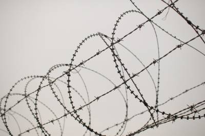 СК Белоруссии завел дело об убийстве мигранта на литовской границе - mk.ru - Белоруссия - Ирак - Литва