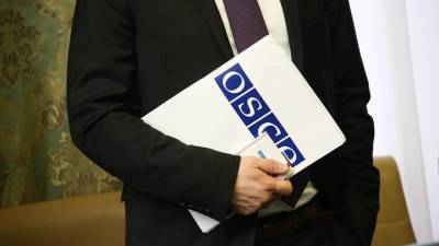 ОБСЕ отказалась отправлять наблюдателей на выборы в Госдуму - vm.ru - Россия