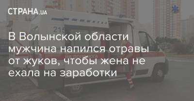 В Волынской области мужчина напился отравы от жуков, чтобы жена не ехала на заработки - strana.ua - Украина - Киевская обл. - Волынская обл.