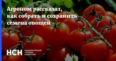 Михаил Воробьев - Агроном рассказал, как собрать и сохранить семена овощей - nsn.fm