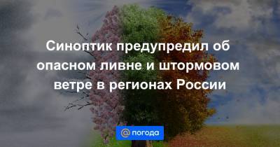 Синоптик предупредил об опасном ливне и штормовом ветре в регионах России - news.mail.ru - Россия - Красноярский край - Иркутская обл. - респ. Коми - Кемеровская обл. - ЦФО - Алтайский край - Мурманская обл. - округ Сибирский - Архангельская обл. - респ. Хакасия - Брянская обл.