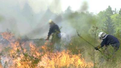 В Болгарии из-за лесных пожаров погибли два человека - russian.rt.com - Болгария - Turkey - провинция Анталья