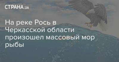 На реке Рось в Черкасской области произошел массовый мор рыбы - strana.ua - Украина - Черкасская обл. - Черкассы