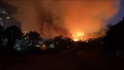 Бекир Пакдемирли - В Турции лесной пожар перекинулся на электростанцию - vesti.ru - Турция - провинция Анталья