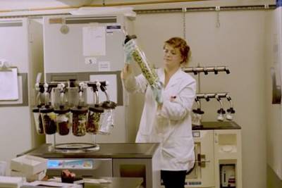 Danone займется растениями - lenta.ru - Франция