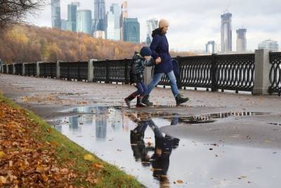 Роман Вильфанд - Синоптик назвал сроки наступления осени и предзимья в Москве - vm.ru - Москва - Россия