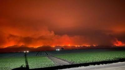 В Калифорнии лесной пожар охватил более 110 тысяч гектаров - eadaily.com - шт. Калифорния - штат Орегон