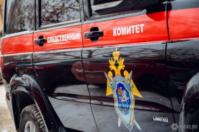 Московский СК завел дело по факту выбрасывания ребенка с пятого этажа - news.vse42.ru - Москва