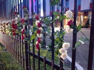 Олег Бондаренко - Балканисты принесли множество красных и белых роз к сербскому посольству в Москве - eadaily.com - Москва - Сербия