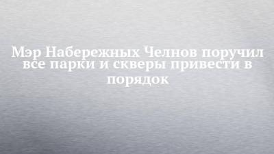 Наиль Магдеев - Мэр Набережных Челнов поручил все парки и скверы привести в порядок - chelny-izvest.ru - Набережные Челны - Зябнуть