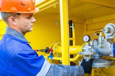 Алексей Островский - Губернатор Островский назвал сроки решения вопроса газификации Угры и Велижа - mk-smolensk.ru - Смоленская обл.